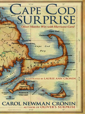 cover image of Cape Cod Surprise